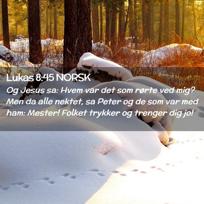 Picture 02 - Lukas 8:45 NORSK - Og Jesus sa: Hvem var det som rørte ved mig? Men - Bible Verse Picture