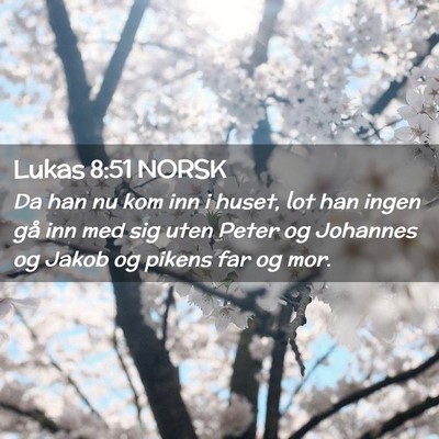 Picture 02 - Lukas 8:51 NORSK - Da han nu kom inn i huset, lot han ingen gå inn - Bible Verse Picture