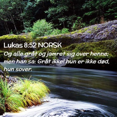 Picture 02 - Lukas 8:52 NORSK - Og alle gråt og jamret sig over henne; men han - Bible Verse Picture