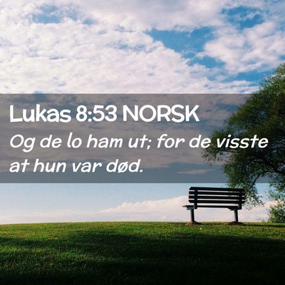 Picture 02 - Lukas 8:53 NORSK - Og de lo ham ut; for de visste at hun var - Bible Verse Picture