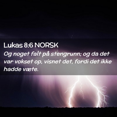 Picture 02 - Lukas 8:6 NORSK - Og noget falt på stengrunn; og da det var vokset - Bible Verse Picture