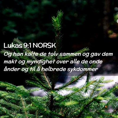 Picture 02 - Lukas 9:1 NORSK - Og han kalte de tolv sammen og gav dem makt og - Bible Verse Picture