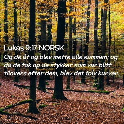 Picture 02 - Lukas 9:17 NORSK - Og de åt og blev mette alle sammen; og da de tok - Bible Verse Picture