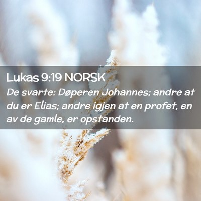 Picture 02 - Lukas 9:19 NORSK - De svarte: Døperen Johannes; andre at du er - Bible Verse Picture