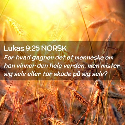 Picture 02 - Lukas 9:25 NORSK - For hvad gagner det et menneske om han vinner den - Bible Verse Picture