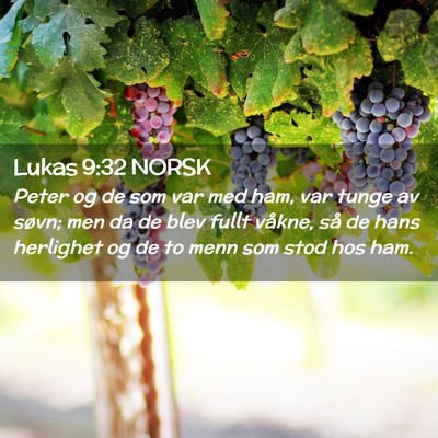 Picture 02 - Lukas 9:32 NORSK - Peter og de som var med ham, var tunge av søvn; - Bible Verse Picture