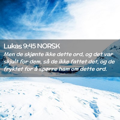 Picture 02 - Lukas 9:45 NORSK - Men de skjønte ikke dette ord, og det var skjult - Bible Verse Picture