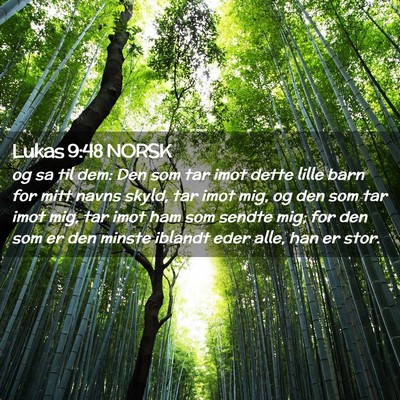Picture 02 - Lukas 9:48 NORSK - og sa til dem: Den som tar imot dette lille barn - Bible Verse Picture