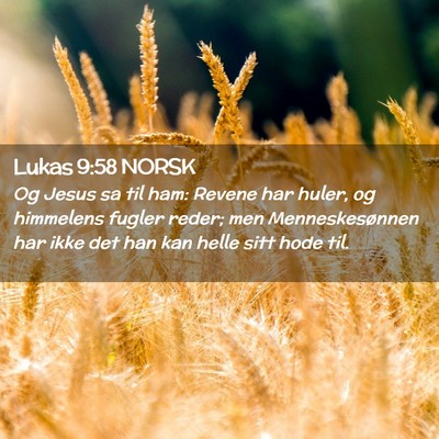 Picture 02 - Lukas 9:58 NORSK - Og Jesus sa til ham: Revene har huler, og - Bible Verse Picture