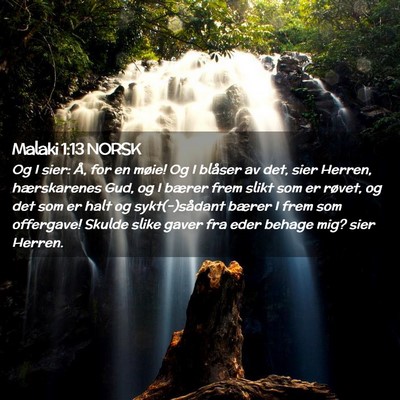 Picture 02 - Malaki 1:13 NORSK - Og I sier: Å, for en møie! Og I blåser av det, - Bible Verse Picture