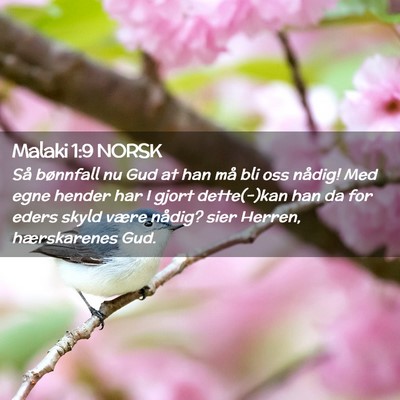 Picture 02 - Malaki 1:9 NORSK - Så bønnfall nu Gud at han må bli oss nådig! - Bible Verse Picture
