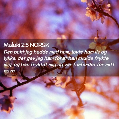 Picture 02 - Malaki 2:5 NORSK - Den pakt jeg hadde med ham, lovte ham liv og - Bible Verse Picture