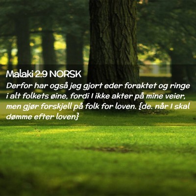 Picture 02 - Malaki 2:9 NORSK - Derfor har også jeg gjort eder foraktet og ringe - Bible Verse Picture