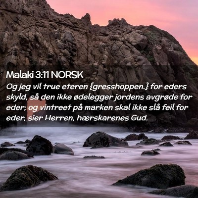 Picture 02 - Malaki 3:11 NORSK - Og jeg vil true eteren {gresshoppen.} for eders - Bible Verse Picture