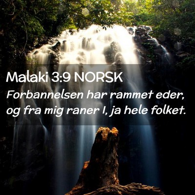 Picture 02 - Malaki 3:9 NORSK - Forbannelsen har rammet eder, og fra mig raner I, - Bible Verse Picture