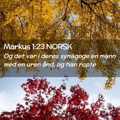Picture 02 - Markus 1:23 NORSK - Og det var i deres synagoge en mann med en uren - Bible Verse Picture