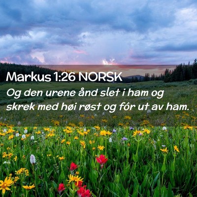 Picture 02 - Markus 1:26 NORSK - Og den urene ånd slet i ham og skrek med høi - Bible Verse Picture