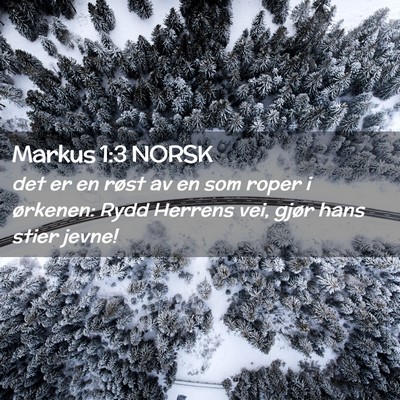 Picture 02 - Markus 1:3 NORSK - det er en røst av en som roper i ørkenen: Rydd - Bible Verse Picture