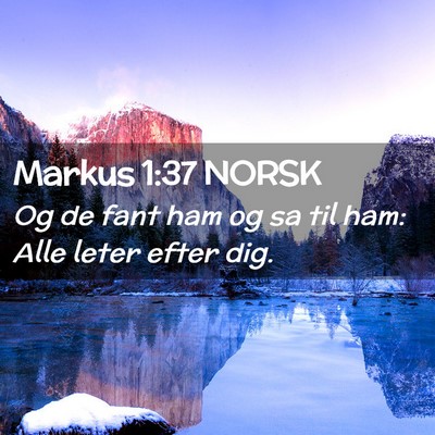 Picture 02 - Markus 1:37 NORSK - Og de fant ham og sa til ham: Alle leter efter - Bible Verse Picture