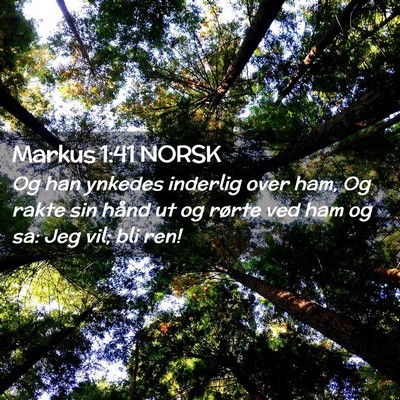 Picture 02 - Markus 1:41 NORSK - Og han ynkedes inderlig over ham, Og rakte sin - Bible Verse Picture