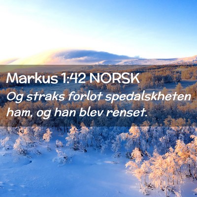 Picture 02 - Markus 1:42 NORSK - Og straks forlot spedalskheten ham, og han blev - Bible Verse Picture