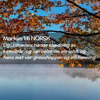 Picture 02 - Markus 1:6 NORSK - Og Johannes hadde klædning av kamelhår, og - Bible Verse Picture