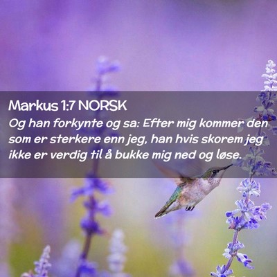 Picture 02 - Markus 1:7 NORSK - Og han forkynte og sa: Efter mig kommer den som - Bible Verse Picture