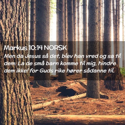 Picture 02 - Markus 10:14 NORSK - Men da Jesus så det, blev han vred og sa til - Bible Verse Picture