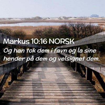 Picture 02 - Markus 10:16 NORSK - Og han tok dem i favn og la sine hender på dem - Bible Verse Picture