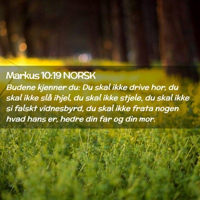 Picture 02 - Markus 10:19 NORSK - Budene kjenner du: Du skal ikke drive hor, du - Bible Verse Picture