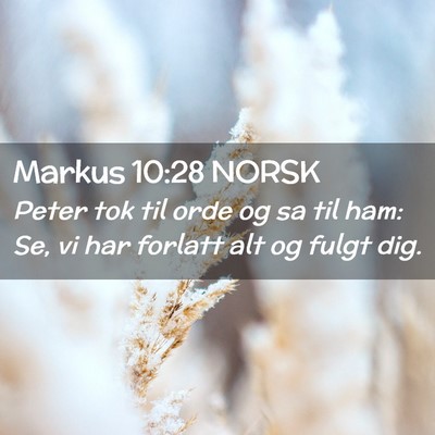 Picture 02 - Markus 10:28 NORSK - Peter tok til orde og sa til ham: Se, vi har - Bible Verse Picture