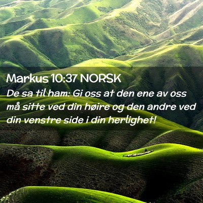Picture 02 - Markus 10:37 NORSK - De sa til ham: Gi oss at den ene av oss må sitte - Bible Verse Picture