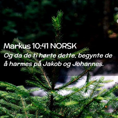 Picture 02 - Markus 10:41 NORSK - Og da de ti hørte dette, begynte de å harmes - Bible Verse Picture