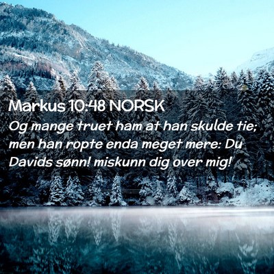 Picture 02 - Markus 10:48 NORSK - Og mange truet ham at han skulde tie; men han - Bible Verse Picture