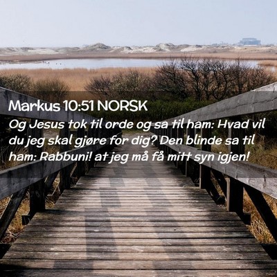 Picture 02 - Markus 10:51 NORSK - Og Jesus tok til orde og sa til ham: Hvad vil du - Bible Verse Picture