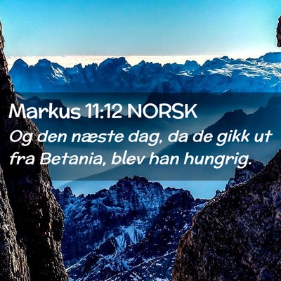Picture 02 - Markus 11:12 NORSK - Og den næste dag, da de gikk ut fra Betania, - Bible Verse Picture