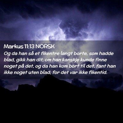 Picture 02 - Markus 11:13 NORSK - Og da han så et fikentre langt borte, som hadde - Bible Verse Picture