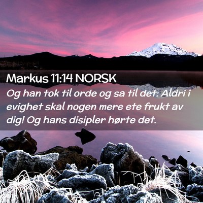 Picture 02 - Markus 11:14 NORSK - Og han tok til orde og sa til det: Aldri i - Bible Verse Picture