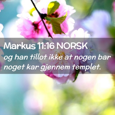 Picture 02 - Markus 11:16 NORSK - og han tillot ikke at nogen bar noget kar gjennem - Bible Verse Picture