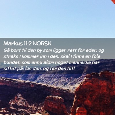Picture 02 - Markus 11:2 NORSK - Gå bort til den by som ligger rett for eder, og - Bible Verse Picture