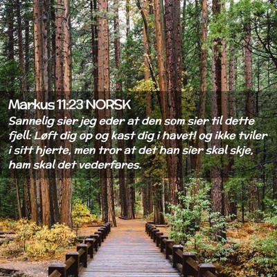 Picture 02 - Markus 11:23 NORSK - Sannelig sier jeg eder at den som sier til dette - Bible Verse Picture