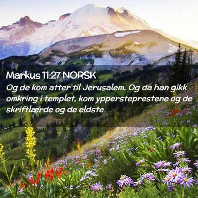 Picture 02 - Markus 11:27 NORSK - Og de kom atter til Jerusalem. Og da han gikk - Bible Verse Picture