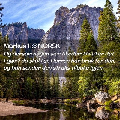 Picture 02 - Markus 11:3 NORSK - Og dersom nogen sier til eder: Hvad er det I - Bible Verse Picture