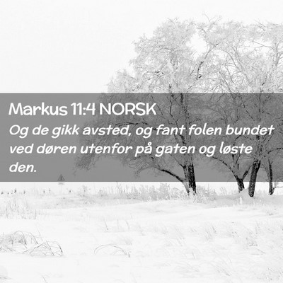 Picture 02 - Markus 11:4 NORSK - Og de gikk avsted, og fant folen bundet ved - Bible Verse Picture