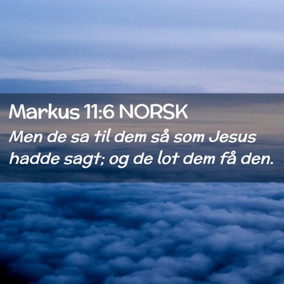 Picture 02 - Markus 11:6 NORSK - Men de sa til dem så som Jesus hadde sagt; og de - Bible Verse Picture