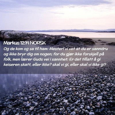 Picture 02 - Markus 12:14 NORSK - Og de kom og sa til ham: Mester! vi vet at du er - Bible Verse Picture