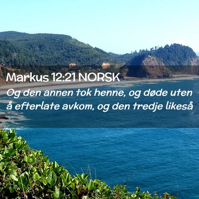 Picture 02 - Markus 12:21 NORSK - Og den annen tok henne, og døde uten å - Bible Verse Picture