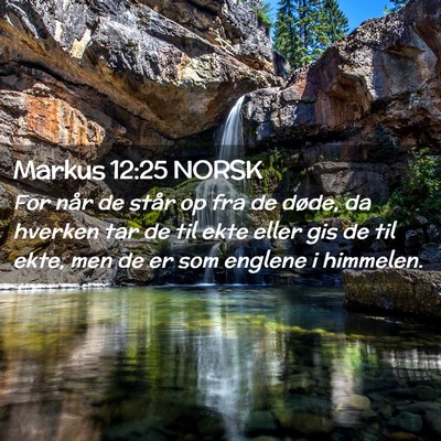 Picture 02 - Markus 12:25 NORSK - For når de står op fra de døde, da hverken tar - Bible Verse Picture