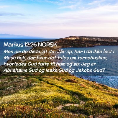 Picture 02 - Markus 12:26 NORSK - Men om de døde, at de står op, har I da ikke - Bible Verse Picture