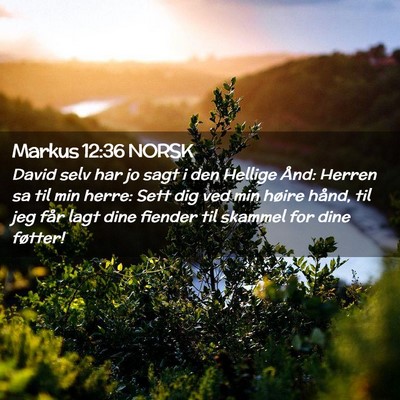 Picture 02 - Markus 12:36 NORSK - David selv har jo sagt i den Hellige Ånd: Herren - Bible Verse Picture